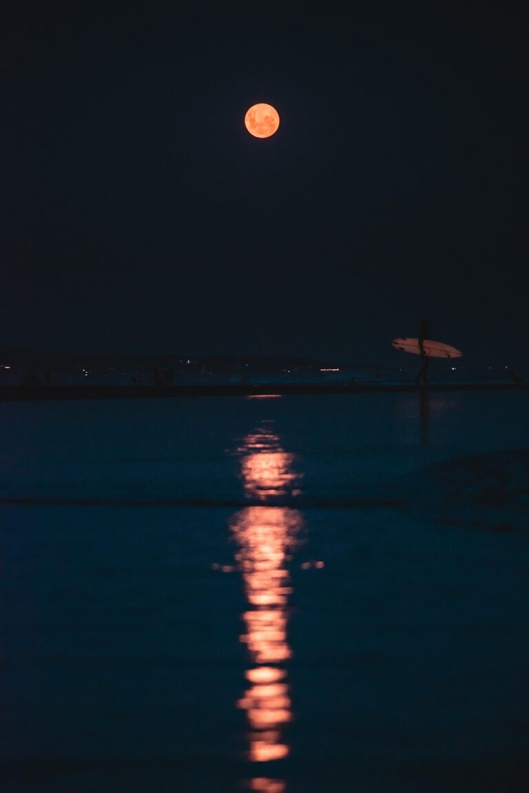 Special Events night, darkness, nature, moon, landscape, water, beach, ocean, sea