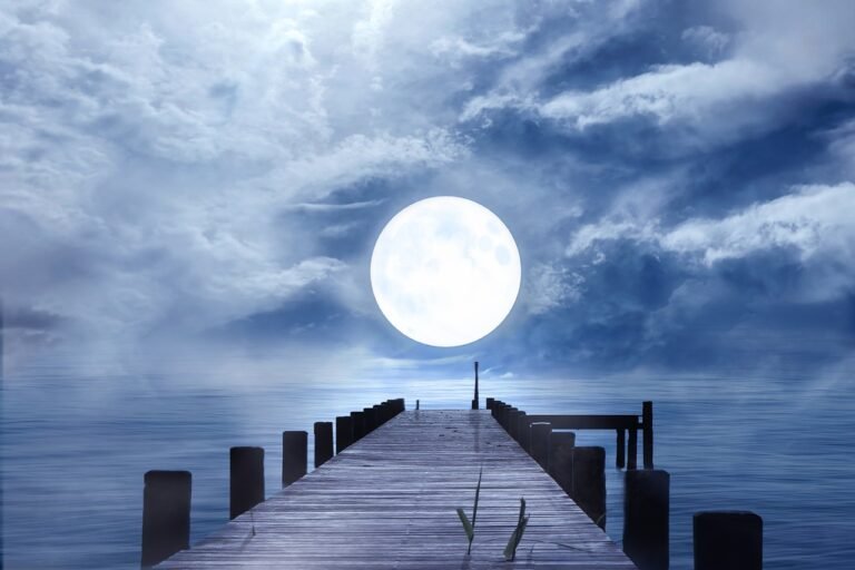 good night, full moon, moonlight, night, moon, mood, night sky, web, bridge, water, shining, the atmosphere, heaven, silence, quiet, clouds, fog, expanse, nature, romantic, photomontage, composing, good night, good night, good night, good night, good night, full moon, full moon, moonlight, moonlight, moon, moon, moon, moon